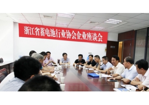 中国电池工业协会赵金生理事长到长兴调研 参加铅蓄电池企业座谈会